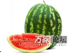 缺水吃啥瓜,探索解渴美食之旅 第1张 缺水吃啥瓜,探索解渴美食之旅 第1张